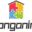 honganint.store favicon